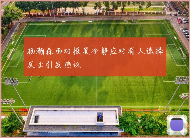 杨瀚森面对报复冷静应对有人选择反击引发热议